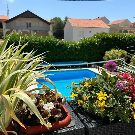 Dubrovnik - Ivanica: “Sunnyhills Apartments” With Pool Exterior photo