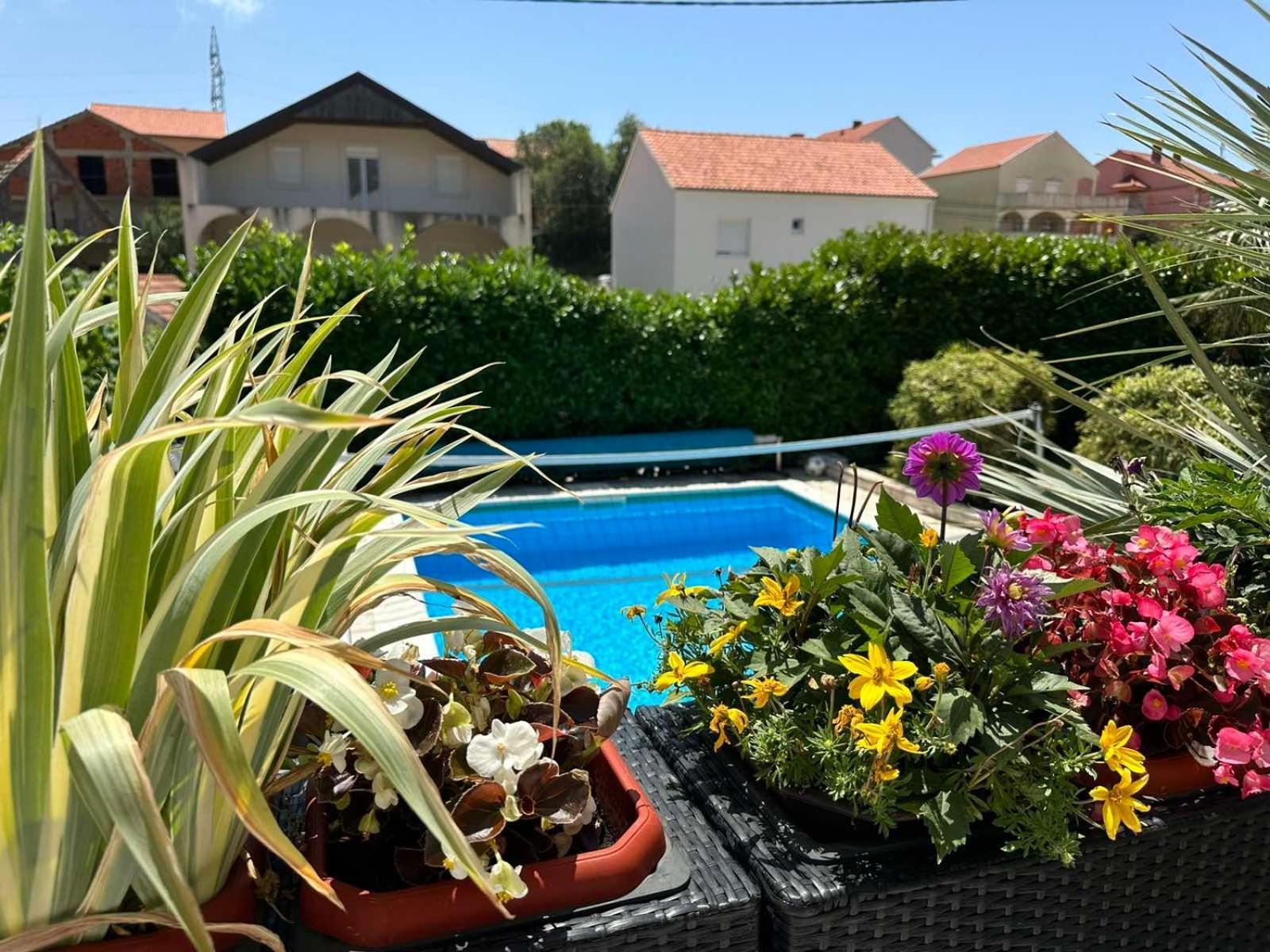 Dubrovnik - Ivanica: “sunnyhills Apartments” With Pool